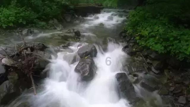 救援可爱小松鼠