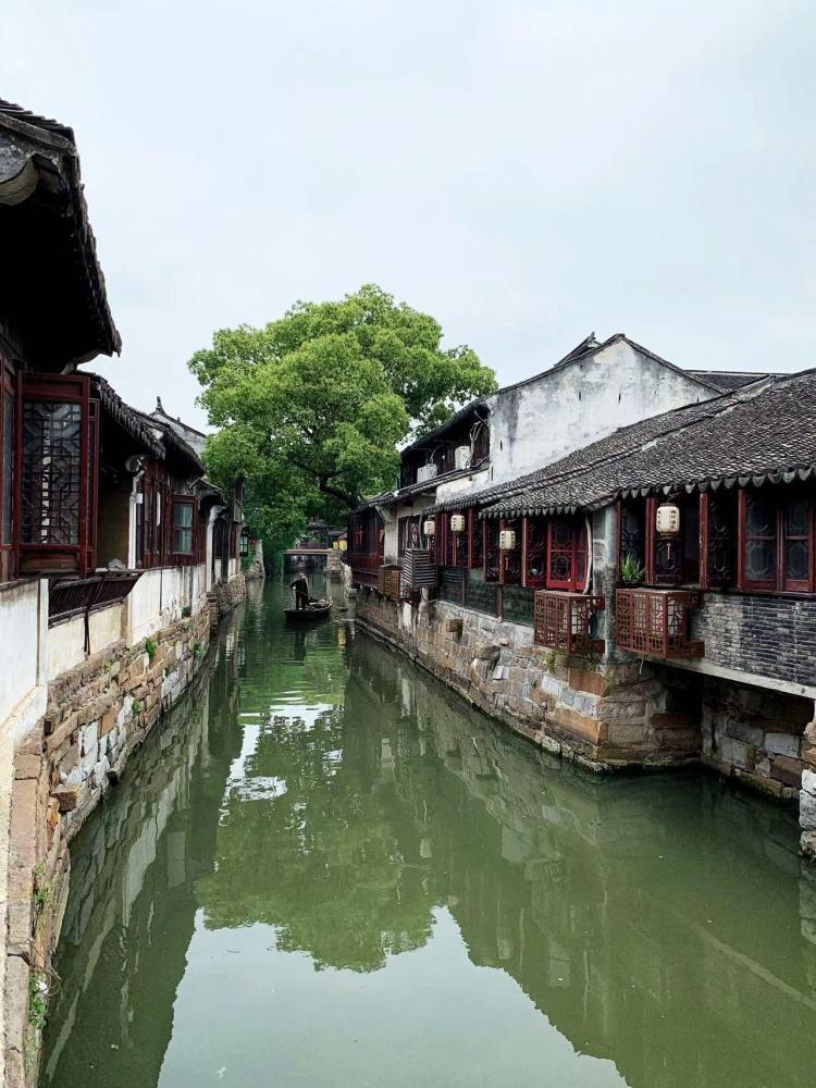 为什么伤口会反复出脓？游戏画面