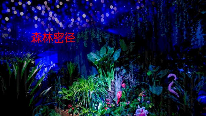 西安:“回家过年,就坐工会爱心专列”
